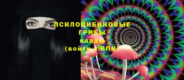 МДПВ Алексин